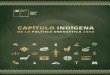 CAPÍTULO INDÍGENA · 4 CAPÍTULO INDÍGENA DE LA POLÍTICA ENERGÉTICA 2050 PRESENTACIÓN 7 RESUMEN EJECUTIVO 9 I. ANTECEDENTES GENERALES DE LOS PUEBLOS INDÍGENAS EN CHILE 13 1.1