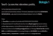 Biología 1 - WordPress.com...podemos decir que los protoctistas son al-gas, protozoos y mohos mucilaginosos. Todos los protoctistas son eucariotas y pue-den ser tanto unicelulares