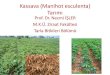 Kassava (Manihot esculenta) Tarımı · • Optimum yumru oluşumu sağlayacak şekilde toprak hazırlığı yapılmalıdır. Pulluk ile toprak sürüldüğünde toprak havalandırılır