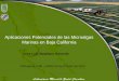 Aplicaciones Potenciales de las Microalgas Marinas en Baja ...congreso.cimav.edu.mx/2010/wp-content/uploads/2010/10/...Impacto Ambiental de la Producción de Biocombustibles Cultivo