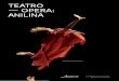 TEATRO — OPERA: ANILINA · The project TEATRO. OPERA: ANILINA is a study on the poetic qualities of leather. What’s the contact between leather and human skin? The intention of