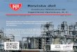 New Revista delportal.imiq.com.mx/revistas/revista12019/revista.pdf · 2020. 4. 16. · 3 Revista del Instituto Mexicano de Ingenieros Químicos, A. . 2019 / Vol 1 La Revista del