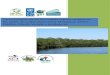 Caracterización de los humedales marino-costeros en los ... · sobre la información de humedales disponible en el Atlas Digital Costa Rica 2008 (ITCR). El humedal Laguna Corral