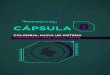 Fintechgración CÁPSULA€¦ · reglas de juego que protejan a los . fintechgración cÁpsula 8 1 - brookings, 2016. digital colombia: ... fortalecimiento del ecosistema digital