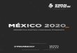SWAN REVIEW MÉXICO 2020 RESUMEN EJECUTIVO · 2020. 1. 10. · consultoria@swanreview.mx +52 (55) 7589 7759. RESUMEN EJECUTIVO_ Este reporte brinda un panorama político-económico