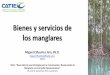 Bienes y servicios de los manglares - MAR Fund · 2020. 4. 12. · Bienes y servicios de los manglares Miguel Cifuentes Jara, Ph.D. miguel.cifuentes@catie.ac.cr CATIE Taller: “Desarrollo