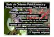 Serie de Órdenes Petaloideanos y Orden Centrospermales ... · Serie de Órdenes Petaloideanos y Orden Centrospermales (Corolianos) Ubicación taxonómica Caracteres diagnósticos