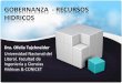 GOBERNANZA - RECURSOS HIDRICOSfich.unl.edu.ar/catedraunesco/wp-content/uploads/2014/04/Tujchneider... · ciclo hidrológico, la relación agua superficial-subterránea y su contribución