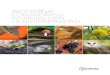 compromiso mundiAl con lA biodiversidAd · 2020. 9. 29. · en una Reserva Mundial de la Biosfera ... cuenta de que no puedes comer dinero” (De los indios Cri, Canadá) Entre los