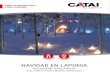 NAVIDAD EN LAPONIAestaticos2.catai.es/.../rovaniemi-sokos-vaakuna-navidad2.pdf · 2018. 10. 18. · 2 | NAVIDAD EN ROVANIEMI 2017 LAPONIA FINLANDESA RESUMEN DEL VIAJE: VUELO DIRECTO