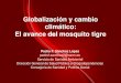 Globalización y cambio climático: El avance del mosquito tigre · El mosquito tigre asiático. Aedes albopictus. De origen asiático. Las hembras se alimentan de sangre humana