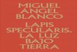 MIGUEL ÁNGEL BLANCO LAPIS SPECULARIS. LA LUZ BAJO …55ab3c2... · La luz bajo tierra en el Museo Arqueológico Nacional y en el Museo Nacional de Arte Romano de Mérida, el artista