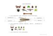 animales los insectos - WordPress.com · Los insectos • Los insectos son animales invertebrados • Los insectos tienen cabeza, tórax , abdomen y patas • Los insectos son pequeños