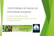 Control biológico de insectos; las enfermedades emergentes€¦ · IMPACTO SOCIAL Aedes aegypti es el principal responsable de la transmisión de dos enfermedades presentes en Ecuador,