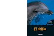 El delfín - casalsusa.comcasalsusa.com/images/portadas_primaria/Primaria2.pdf · Su cuerpo tiene forma de cohete para cortar el agua, y en la cola una aleta llamada aleta caudal,