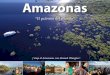 Amazonasmanuelobregon.com/pdf/Amazonas2017.pdf · ITINERARIO Amazonas con Manuel Obregón Dia 1 11.32 am: Salida desde el aeropuerto: San José-Panamá-Manaos. 8.47 pm: Llegada a