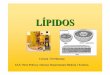 LÍPIDOS - Galicia€¦ · Co nome de lípidos (do grego lypos, graxa) denominamos a un grupo de compostos orgánicos formados por C, H, e O maioritariamente e ocasionalmente N, P