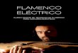 programa pdf es - Flamenco Eléctricoflamencoelectrico.com/programa_pdf_es.pdf · PROGRAMA COMPLETO TÉCNICAS FLAMENCAS APLICADAS A GUITARRA ELÉCTRICA Lo hemos organizado de modo