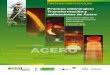 Proceso siderúrgico: Transformación y aplicaciones de Aceroproduccion.idonial.com/images/2020/Caldia_2020_Polo_del_Acero.pdf · > El Polo del Acero es una Agrupación Empresarial