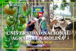 UNIVERSIDAD NACIONAL AGRARIA LA MOLINA€¦ · Presentación L a Facultad de Agronomía de la Universidad Nacional Agraria La Molina (UNALM) es una unidad académica, que tiene como