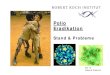Stand & Probleme - BfR€¦ · Basierend auf Untersuchung von viraler Meningitis/Enzephalitis Pilotphase seit Oktober 2005. 20 Enterovirussurveillance LaNED: Labornetzwerk in Deutschland
