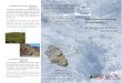 Geodiversidade e Geossítios da ilha Graciosa Geodiversity ...€¦ · Mosaico colorido, estratificado e diversificado conferido pelo empilhamento de diversos depósitos de escória