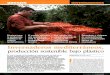 Revista Vida Rural, ISSN: 1133-8938€¦ · Estructuras y sistemas de automatización para la construcción óptima de invernaderos Invernautros producción sostenible bajo plástico