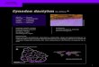 Cynodon dactylon (L.) Pers. - Facultad de Cienciasinbuy.fcien.edu.uy/.../DATAonline/DBASEimpresiones/Cynodon_dactyl… · Panicum dactylon L. DESCRIPCIÓN Hierba perenne de 10-30