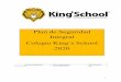 Fecha de Aprobación Fecha Actualización Nº de Versión 05 ...kingsschool.cl/sanbernardo/wp-content/uploads/2020/04/PISE-2020-1.pdfcaracterísticas propias de nuestra escuela, considerando