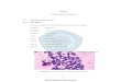 BAB II TINJAUAN PUSTAKA 2.1 Staphylococcus aureus 2.1.1 ...repository.unimus.ac.id/3096/4/BAB II.pdf · 7 2.1.2 Morfologi Bakteri Staphylococcus aureus berasal dari kata staphyle