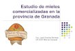 Estudio de mieles comercializadas en la provincia de Granada...Contraviniendo el Reglamento de la DOP Miel de Granada En las Grandes Superficies con carácter general. Situar jarabes