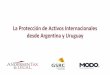 La Protección de Activos Internacionales desde Argentina y ......(Corresponde a tasas máximas de impuesto, en la mayoría de los casos son por escalas) (1) Debe Adicionarse el Impuesto
