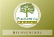 PAWOLINA EN COREL - WordPress.com · PAULOWNIA ELONGATA CAROLINIA Paulownia Antecedentes... Esta variedad de Paulownia, es eleresultado dex a adquisición de los mejores genes2y'característica
