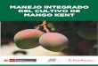 MANUAL DE MANGO...Manual: MANEJO INTEGRADO DEL CULTIVO DE MANGO KENT Editado por: Instituto Nacional de Innovación Agraria-INIA Av. La Molina 1981, Lima1-Perú Teléfono: (511) 2402100