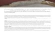 Ensayos de consolidación en los revestimientos murales del Conjunto Arqueológico de ... · 2020. 4. 19. · Ensayos de consolidación en los revestimientos murales del Conjunto