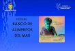 RECETARIO BANCO DE ALIMENTOS DEL MAR · 2020. 10. 5. · Araucanía que viven en residencias dependientes del Estado o de Instituciones sin fines de lucro, consistente en un “Banco