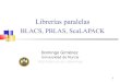 Librerías paralelasdis.um.es/~domingo/apuntes/Valencia/1011/ScaLAPACK.pdf · Rutinas básicas de comunicación de matrices. Portabilidad para rutinas de comunicación de álgebra