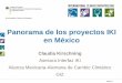 Panorama de los proyectos IKI en Méxicoiki-alliance.mx/wp-content/uploads/Claudia-Kirschning-1.pdf · Panorama de los proyectos IKI en México Claudia Kirschning Asesora Interfaz