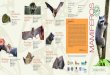 Simbología Smonarchconservation.org/wp-content/uploads/2016/10... · Mendoza, E. 2016. Guía de mamíferos Reserva de la Biosfera Mariposa Monarca. México Natura. IIES-MBF-UMSNH-CONABIO-CONANP