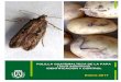 Identif y control polilla papa 2017 - Agrolanzarote · 2019. 7. 1. · eficacia de tres insecticidas en el control de la polilla guatemalteca de la papa (Dursban 48 (clorpirifos 48%),
