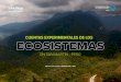 PERÚ CUENTAS EXPERIMENTALES DE LOS - Ministerio ...Tipos de cuentas de ecosistemas ensayadas Unidades Estadísticas y Espaciales Clasificación de servicios ecosistémicos Pag. 18