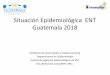 Situación Epidemiológica ENT Guatemala 2018epidemiologia.mspas.gob.gt/files/Publicaciones 2019... · Pirámide poblacional quinquenal Guatemala 2018 Fuente: INE/DE Población total