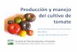 Producción y manejo del cultivo de tomate · Tomate fresco Sup. (ha) NOA 5500 (250 inv) NEA 800 (inv) Cinturón de Bs As 1400 (inv y campo) Mar del Plata 1200 (inv y campo) Mendoza