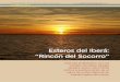 Esteros del Iberá: “Rincón del Socorro”argentinambiental.com/wp-content/uploads/pdf/AA92-74... · 2018. 7. 23. · de collar, el cardenal amarillo, el águila coronada, y el