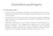 Clostridium perfringens - WordPress.com...Clostridium perfringens Introducción • Cuando se lanza un producto alimentario al mercado se deben tener en cuenta varios parámetros que