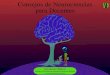 Consejos de Neurociencias para Docentes - Leer es Aprenderleeresaprender.com/wp-content/uploads/2017/03/... · 2017. 4. 5. · de la clase permite continuar con la tarea con un 