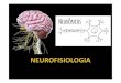 SistemaSistemanervoso nervosoSistemaSistemanervoso nervoso O encéfalo é o centro da razão e da inteligência: cognição, percepção, atenção, memória e emoção. Também é