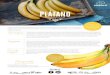 FichaProduto Banana Footer ES - Sonatural · 2019. 5. 6. · PLÁTANO El plátano, conocido en otros países hispanohablantes también como banana, es una fruta musácea con una forma