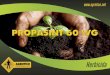 Herbicida - AGROTICOagrotico.net/web/ServicioTecnico/Perfiles_de_Producto_Proteccion... · xxxx Actúa por contacto y se absorbe por las hojas y raíces, puede bloquear la fotosíntesis