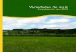 Variedades de maíz - SERIDA · 2017. 4. 5. · Tabla 1. Cronología de la floración del maíz a partir del comienzo de la etapa reproductiva Estadío FLOR FEMENINA (mazorca) FLOR